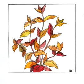 Желтые листья