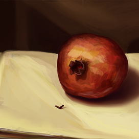 Этюд гранат