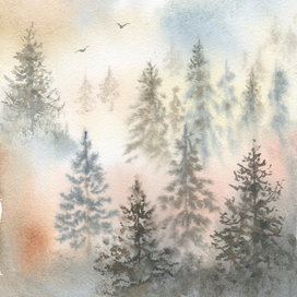 Туманный лес. Карелия. Акварель