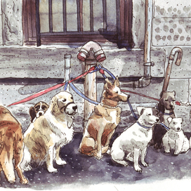 Акварель Собаки