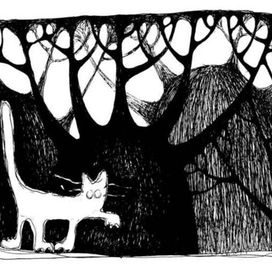 Путеводный кот