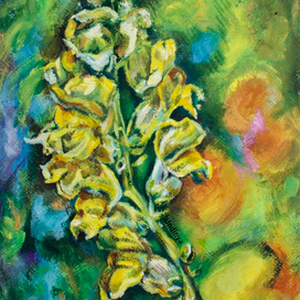 Львиный зев