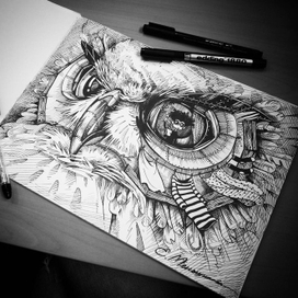 Сова–домик.