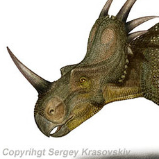 Styracosaurus albertensis (динозавр) 