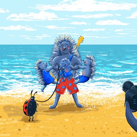 Ежи на пляже