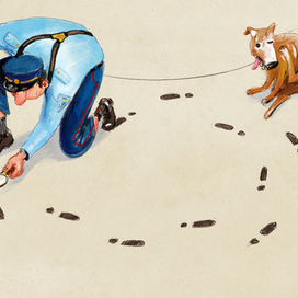 Милиция ищет виновных