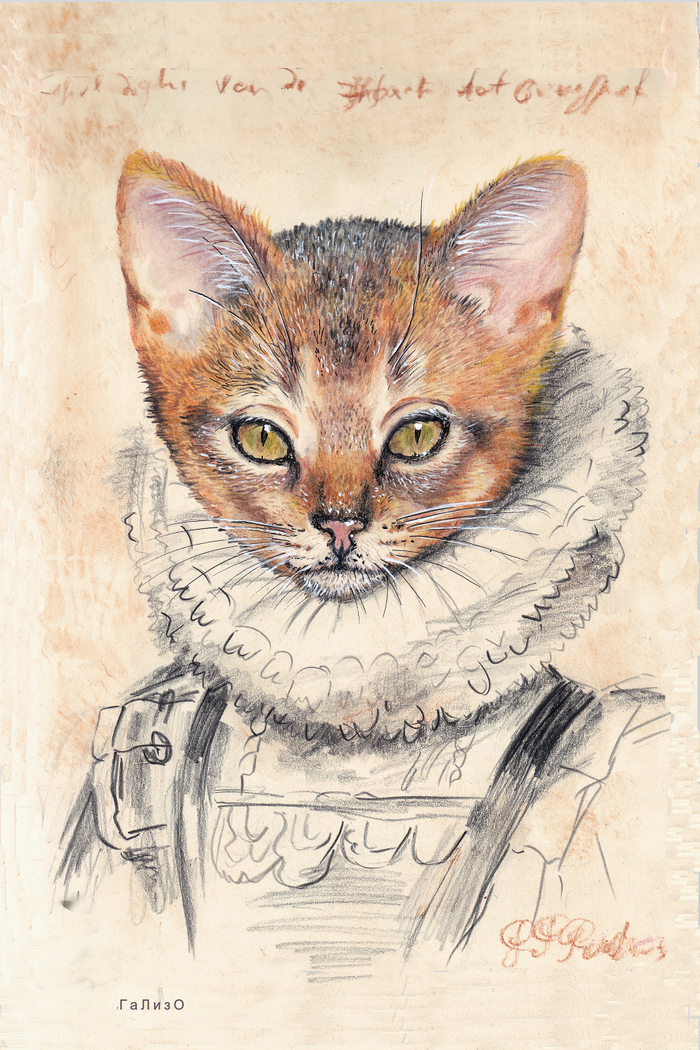 Кошка Рубенса