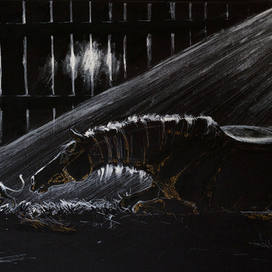 Утро в конюшне