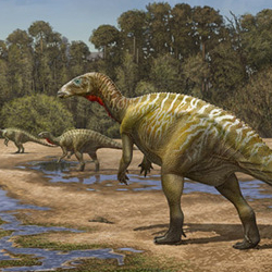Динозавры из Бургоса  - 2