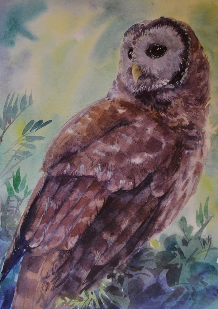 Пёстрая Неясыть