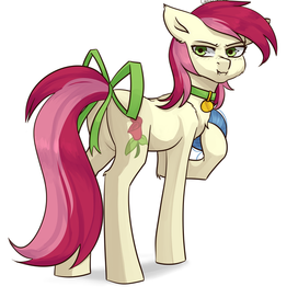 Заказ с пони