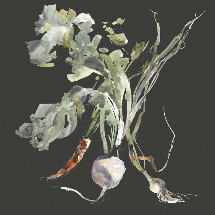 Набор для салата | акварели для паттерна