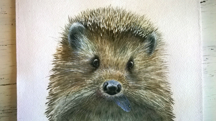 " Я-ёжик " для обложки.