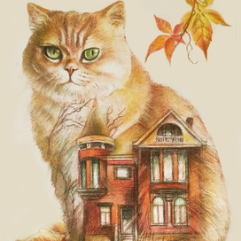 Дом там, где кот