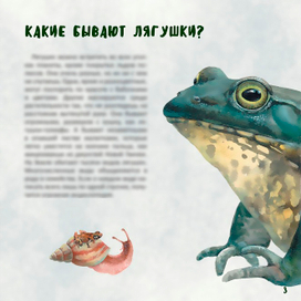 Страница  из книги.