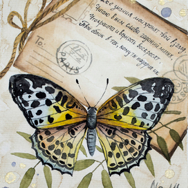 Бабочка. Сонет №14 У. Шекспира