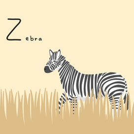 Зебра