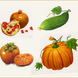 Иллюстрация-1