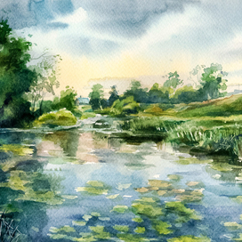 "Заросший пруд. После дождя"