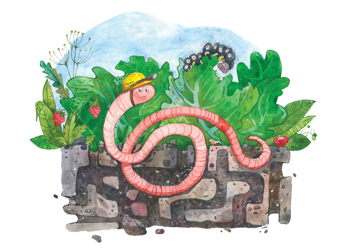 Дождевой червяк