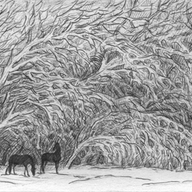 Вспоминая о конных походах