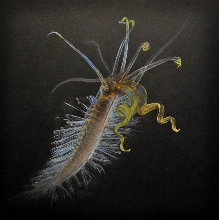 Глубоководное