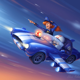 Воздушная полиция