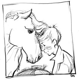 Титул "Белая лошадь - горе не мое" Н. Соломко