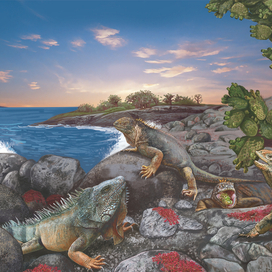 Галапагосы