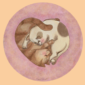 спящие коты