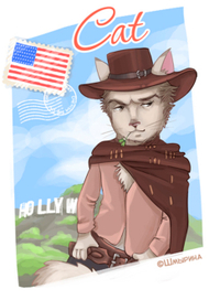 Кот из США