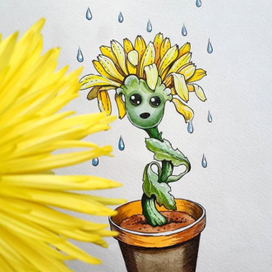 Хризантема