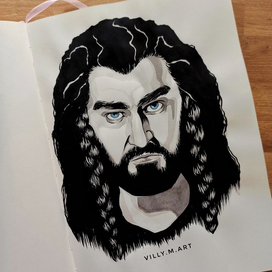 Торин Дубощит