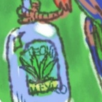  Попугай и текила