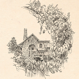 Глицинии. Гагры