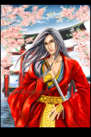 Цветение сакуры