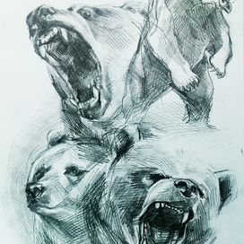 Набросок. Мишки.