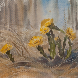 Мать-и-мачеха