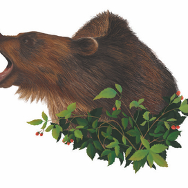 Медведь в кустах