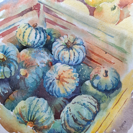 Тыковки Pumpkins