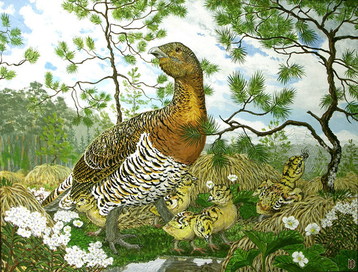 Глухарка – бдительная мамаша