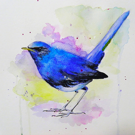 Синяя птица в акварельке