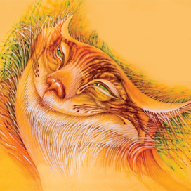 ЧЕШИРСКИЙ КОТ