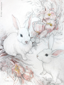 Белые кролики (серия "Нежность")