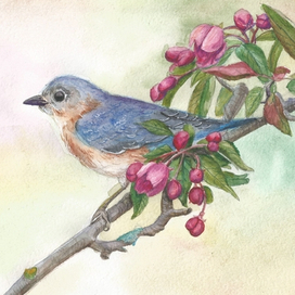 птица и цветы