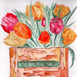 Тюльпаны