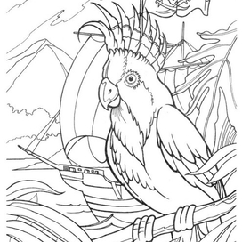 пиратская раскраска