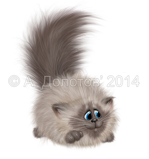 Какой-то котик