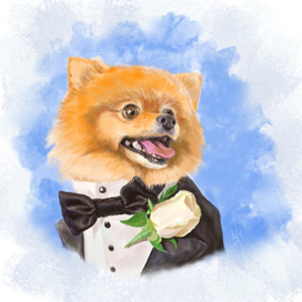 Портрет шпица