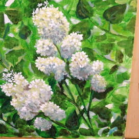 Белая серень